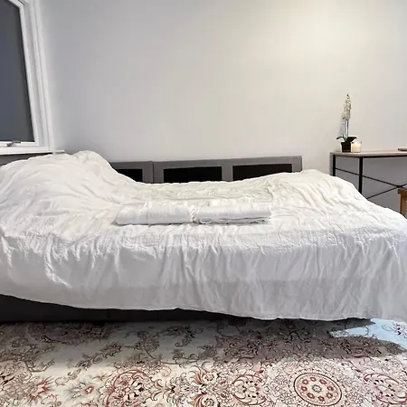 Studioappartment In 12 Min From Oslo By Train * Ski